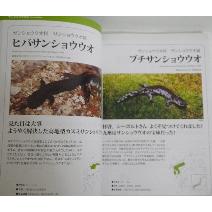 ぎょぶる特別編集 特盛 山椒魚本』魚部 : くうねる堂 - 通販 - Yahoo