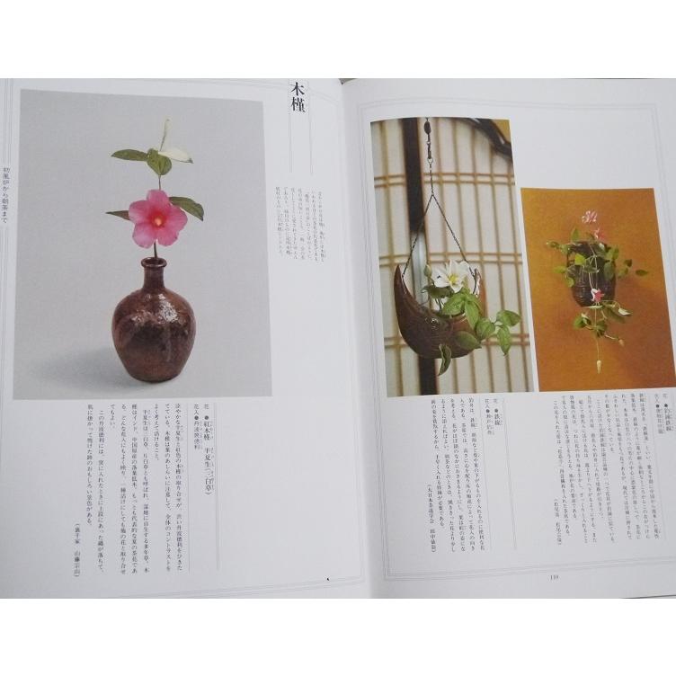 本　決定版お茶の心　５冊 茶花 決定版お茶の心 改装版』 : くうねる堂 - 通販 - Yahoo!ショッピング