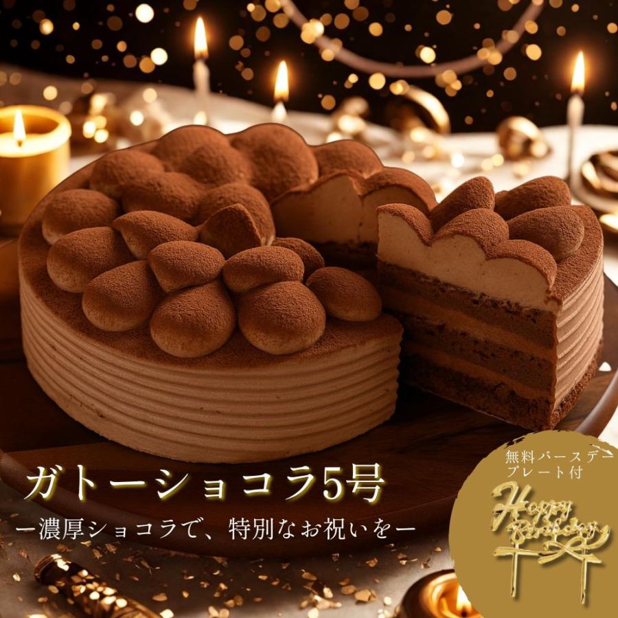 ガトーショコラ 5号 誕生日 チョコ ケーキ 入卒業 お祝い 贈答品 送料