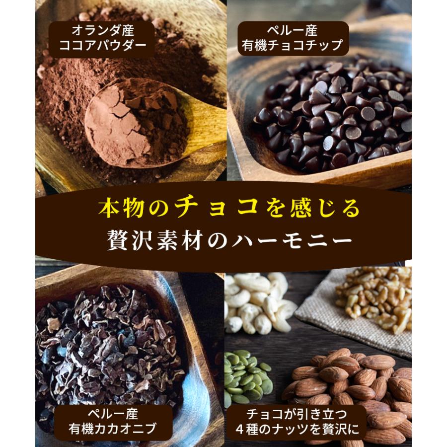 グラノーラ チョコ 無添加 260g×2袋セット 送料無料 (自家製窯焼き
