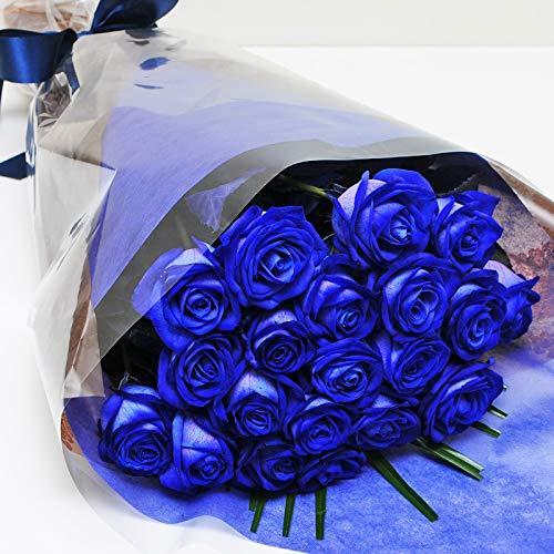 格安 本数をお選びください 青いバラの花束 5本 100本 神秘的なブルーローズ 奇跡の花 エーデルワイス 花工房 交換無料 Teslaimagem Com Br