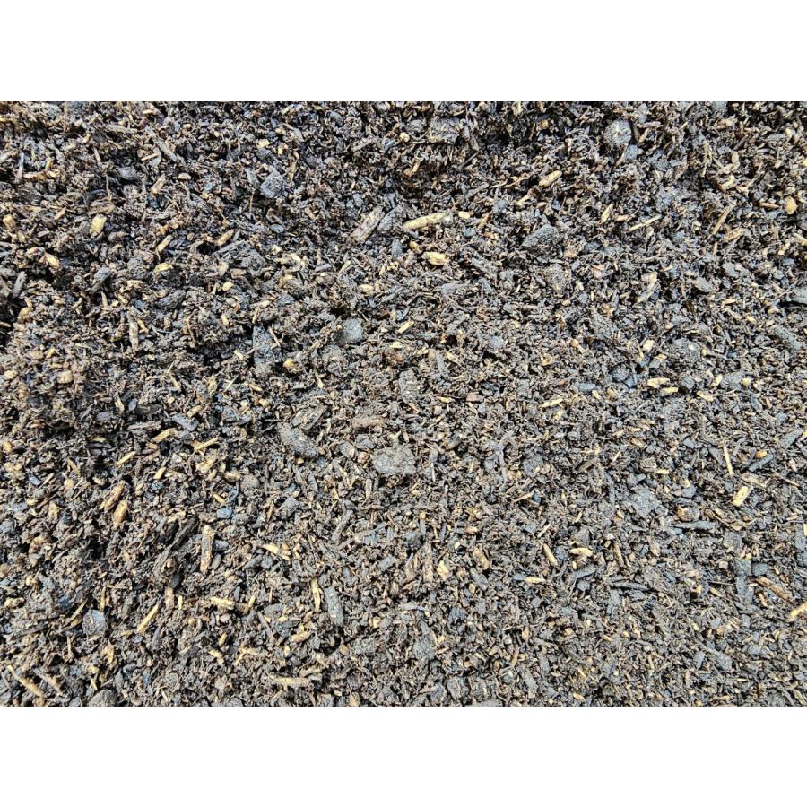 MDカブトマットベーシック60L : クワガタショップ MD - 通販 - Yahoo