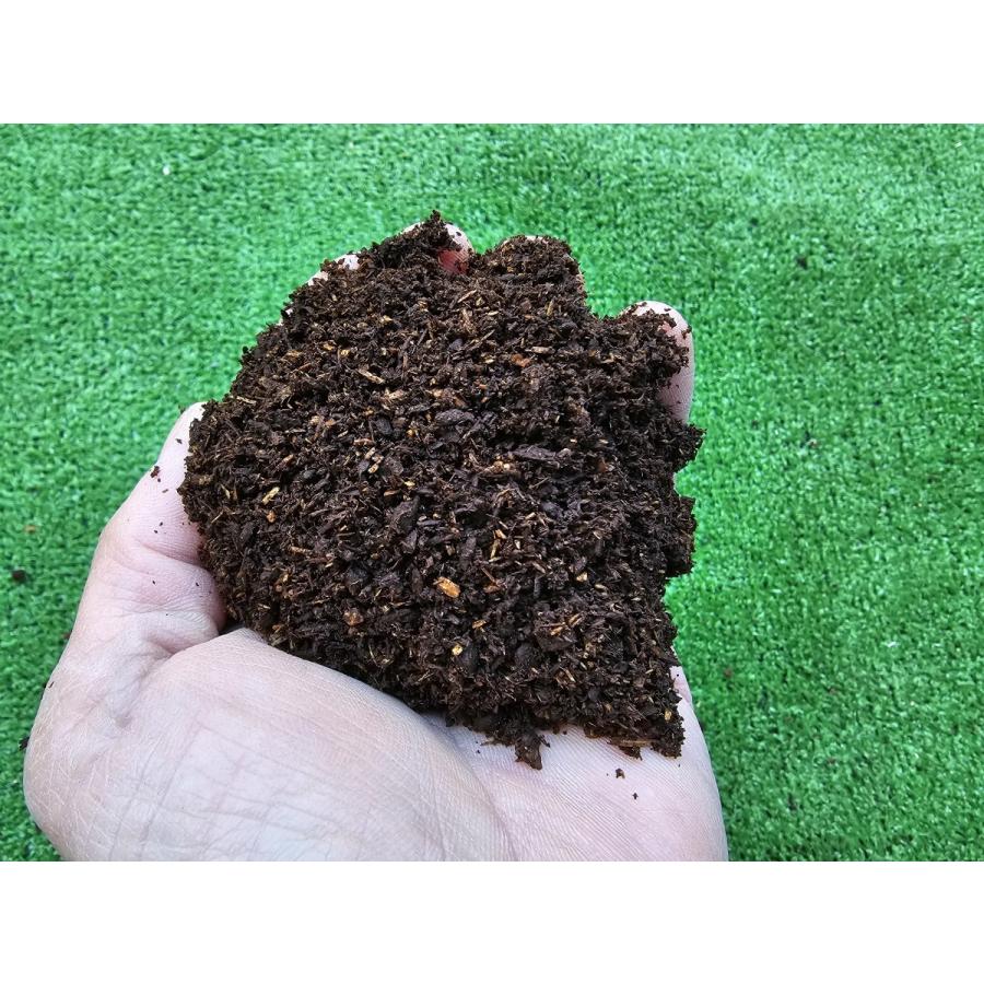 MDカブトマットベーシック60L : クワガタショップ MD - 通販 - Yahoo