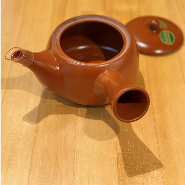 急須約400ml 深蒸し 掛川茶 100g お試しセット : 桑原園の壮太の茶