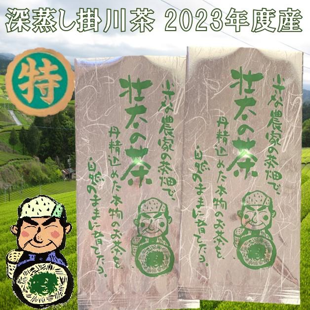 桑原園 お茶 新茶 2025 100g×2本 深蒸し掛川茶 : 桑原園の壮太の茶