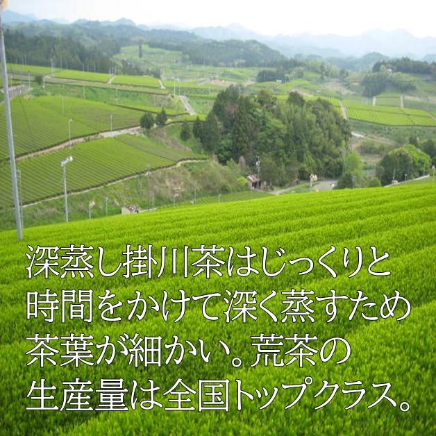 お茶 新茶 2024 100g×2本 深蒸し掛川茶｜kuwaharaen｜06