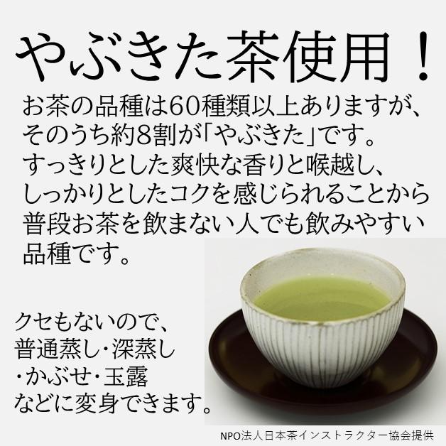 桑原園 お茶 新茶 2025 100g×2本 深蒸し掛川茶 : 桑原園の壮太の茶