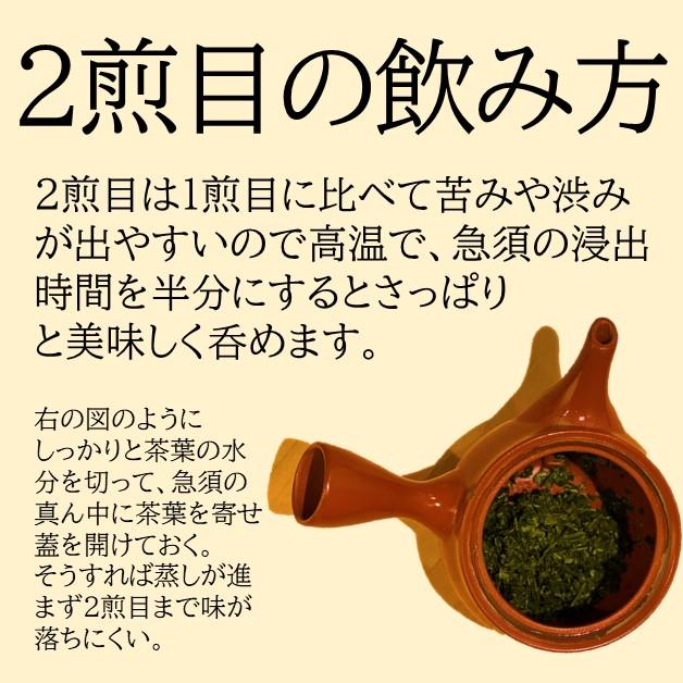 お茶 高級1番茶使用 深蒸し掛川茶 100g×2本セット ネコポス便 : 桑原