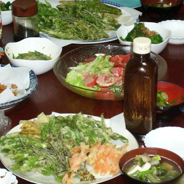 ふきのとう 山菜 通販 1kg前後 フキ味噌用 予約 (少し大きな ふきのとう 山菜 通販 1kg前後 フキ味噌用 予約 (少し大きな