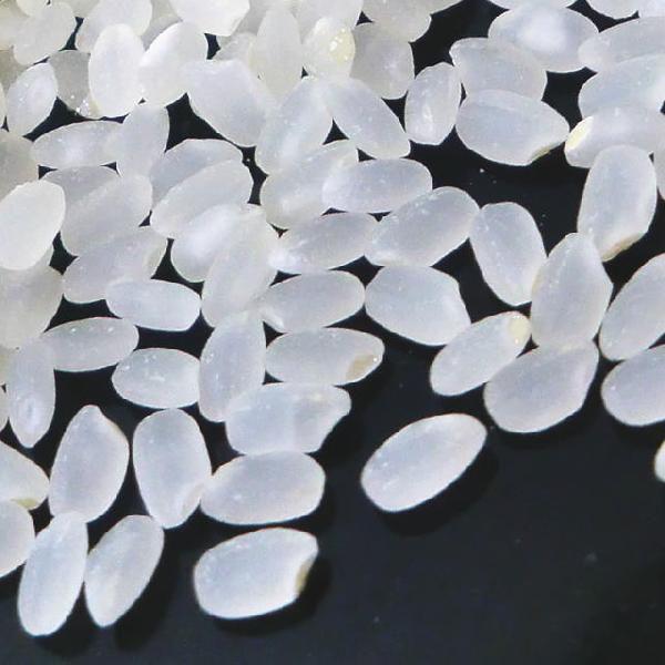 コシヒカリ 米 5kg 2025年 令和7年 魚沼産コシヒカリ 1等米 白米 コシヒカリ 米 5kg 2025年 令和7年 魚沼産コシヒカリ 1等米 白米