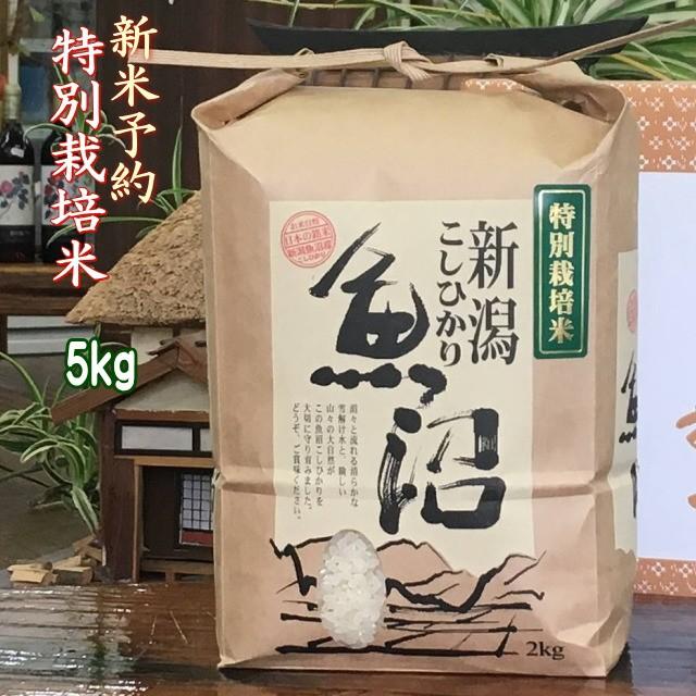 新米 5kg 2023 令和5年 魚沼産コシヒカリ【特別栽培米】白米 777123