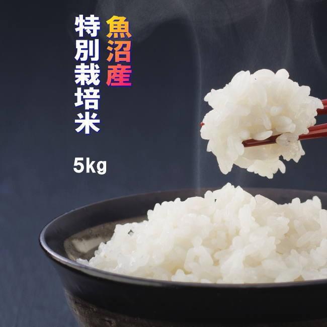 コシヒカリ 新米 5kg 2025 令和7年 魚沼産コシヒカリ【特別栽培 コシヒカリ 新米 5kg 2025 令和7年 魚沼産コシヒカリ【特別栽培