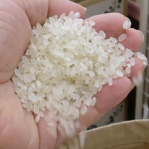 コシヒカリ 新米 5kg 2025 令和7年 魚沼産コシヒカリ【特別栽培 コシヒカリ 新米 5kg 2025 令和7年 魚沼産コシヒカリ【特別栽培