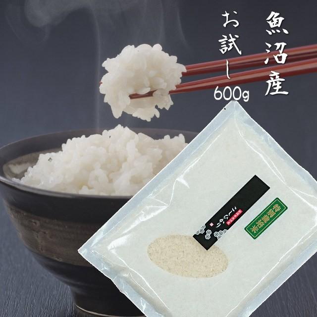 コシヒカリ 新米 2024 令和6年 魚沼産 送料無料 600g 4合 特別 コシヒカリ 新米 2024 令和6年 魚沼産 送料無料 600g 4合 特別