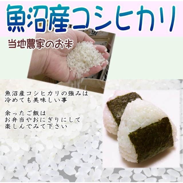 コシヒカリ 新米 2024 令和6年 魚沼産 送料無料 600g 4合 特別 コシヒカリ 新米 2024 令和6年 魚沼産 送料無料 600g 4合 特別