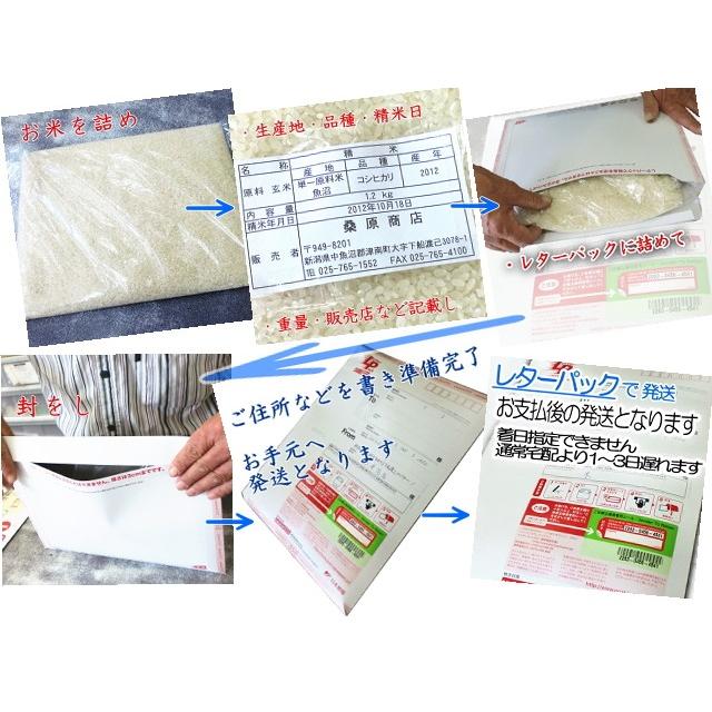 コシヒカリ 新米 2024 令和6年 魚沼産 送料無料 600g 4合 特別 コシヒカリ 新米 2024 令和6年 魚沼産 送料無料 600g 4合 特別