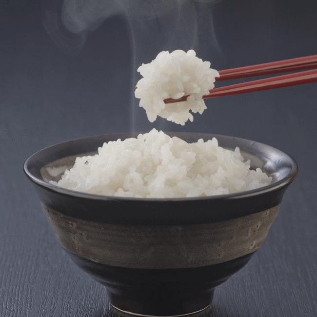 コシヒカリ 米 魚沼産 600g 2026年 お試し 一等米 送料込 : 酒と特産品