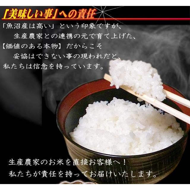 ぷちギフト 結婚 引っ越し 挨拶 退職 お返し 御祝【令和7年 白米300ｇ】かわいい お米 魚沼産コシヒカリ プレゼント交換 | コシヒカリ | 02