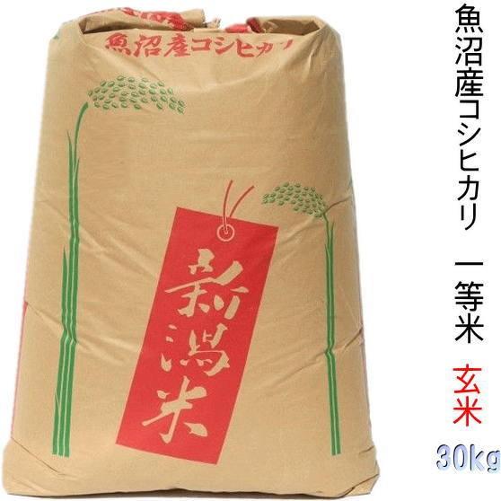 令和4年 魚沼コシヒカリ 玄米30Kg（従来コシヒカリ）無料で精米でき