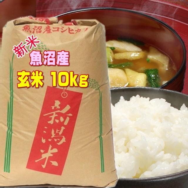 コシヒカリ 米 玄米 10kg 魚沼産コシヒカリ 一等 新米 2025年 一等米