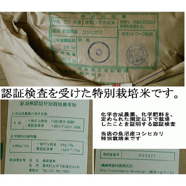 コシヒカリ 【従来コシヒカリ 特別栽培米】玄米 30kg 新米 魚沼産 