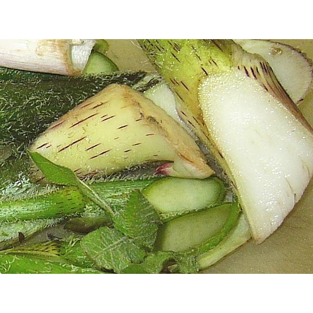 独活 山菜 うど ウド（山うど 450g前後天然物）大小混合採りたて発送ご
