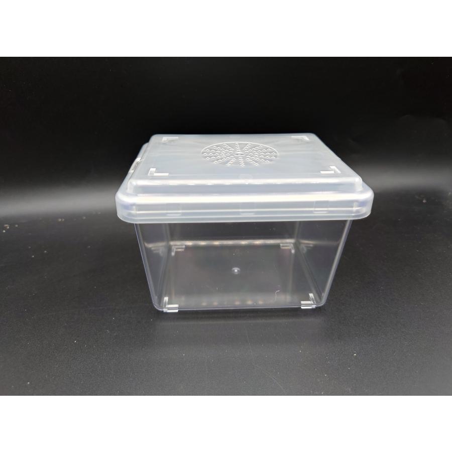 クワBOX MS1 フタタイプ : クワガタカブトムシ専門ショップシエル ヤフー店 - 通販 - Yahoo!ショッピング