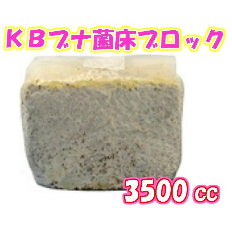 大人気 【即日発送】 MBH4X0ILV15 [MBH4X0ILV15]