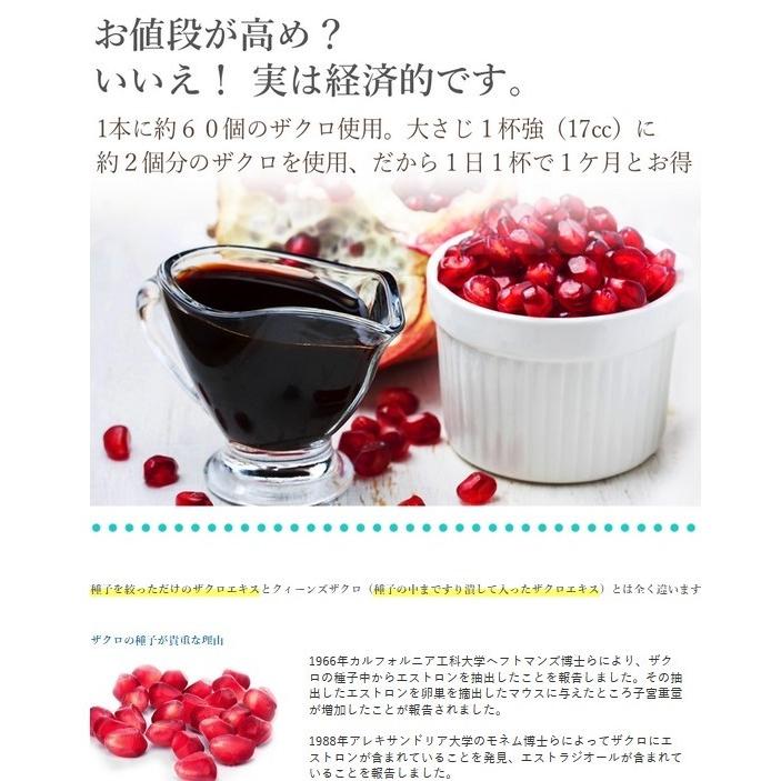 期間限定】【レビューを書いたらスティックタイプ更に3包プレゼント