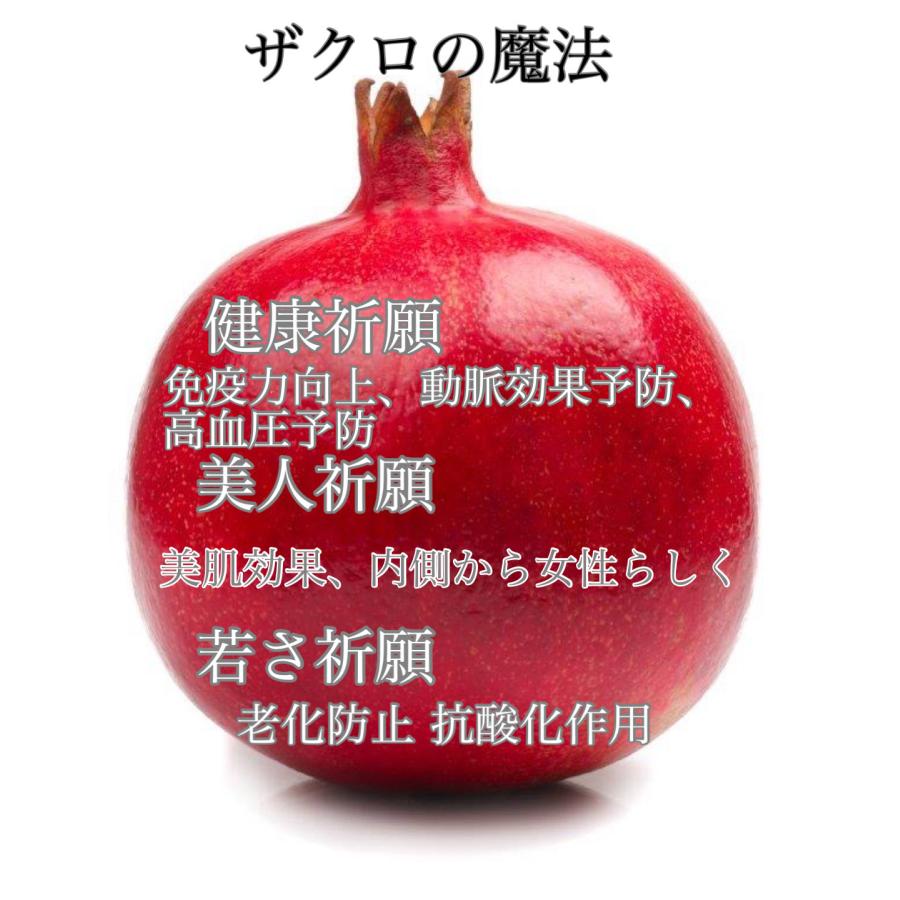 期間限5月16日まで 2000円OFF】500ml3本 ざくろジュース ザクロエキス