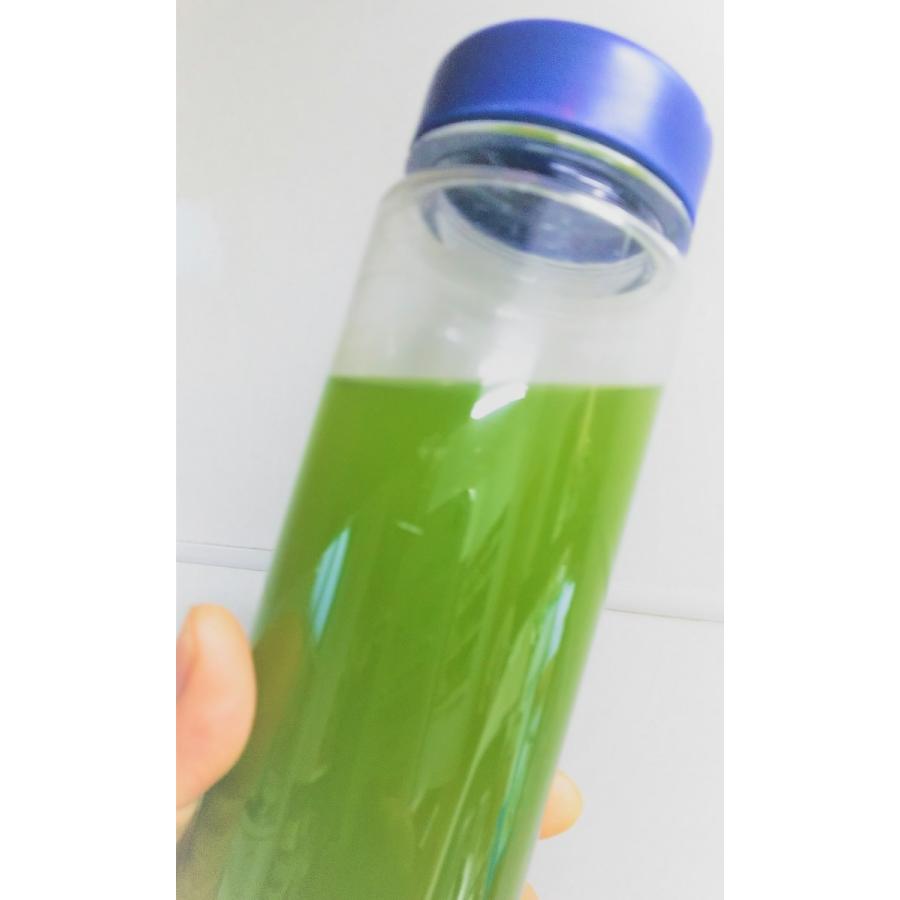 桑葉茶　桑の葉茶　桑茶　粉末　桑パウダー　桑屋　無農薬　無添加　ノンカフェイン　松崎町産桑葉茶 粉末1g包X60入 |  | 05
