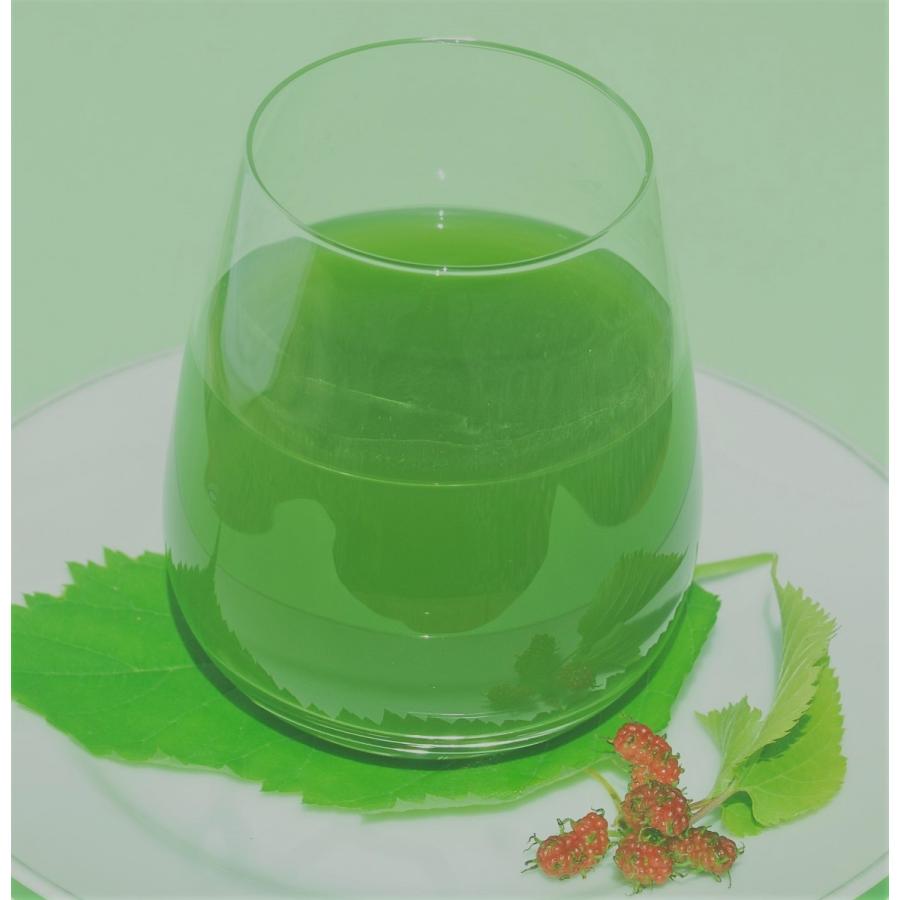 桑葉茶　桑の葉茶　桑茶　粉末　桑パウダー　桑屋　無農薬　無添加　ノンカフェイン　松崎町産桑葉茶 粉末1g包X60入 |  | 07