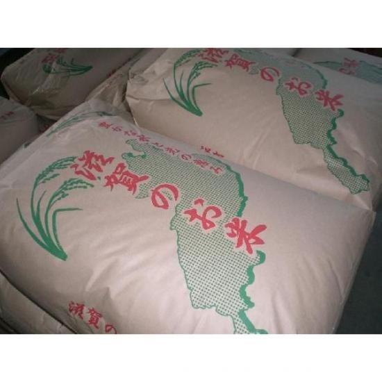 コシヒカリ 2023年度産 10kg 栃木県産コシヒカリ 10kg 平成29年産: 全国おいしいお米発見