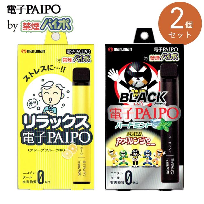 2個セット 電子PAIPO by 禁煙パイポ 2種類 使いきり 電子タバコ