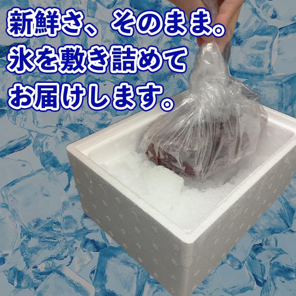 くじら専門店いさな家 鯨肉 くじら肉 鯨刺身「熟成やわらか くじら専門店いさな家 鯨肉 くじら肉 鯨刺身「熟成やわらか