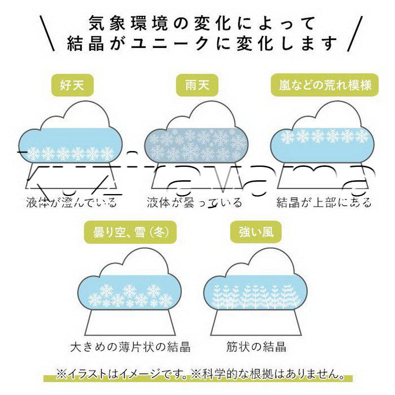 ストームグラス テンポドロップ ガラス天気予報ボトル ストーム瓶 気象予報器 結晶観察器 キューブ インテリア 贈り物 ガラス 小物 Yyslf 02 鯨山 通販 Yahoo ショッピング