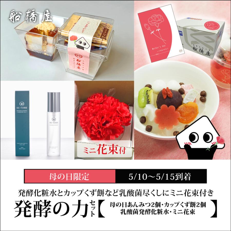 母の日 ギフト 豪華 発酵の力 セット 5種詰合せ 22 プレゼント スイーツ 和菓子 セット 80代 70代 60代 お菓子 食べ物 花以外 絶品 お取り寄せ 冷蔵品 Ms006 元祖くず餅船橋屋 通販 Yahoo ショッピング