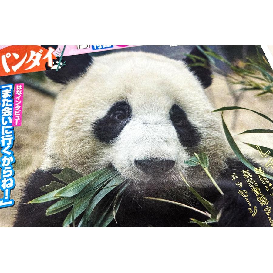 日刊パンダイ パンダ シャオシャオ レイレイ 上野動物園 保存版 日刊