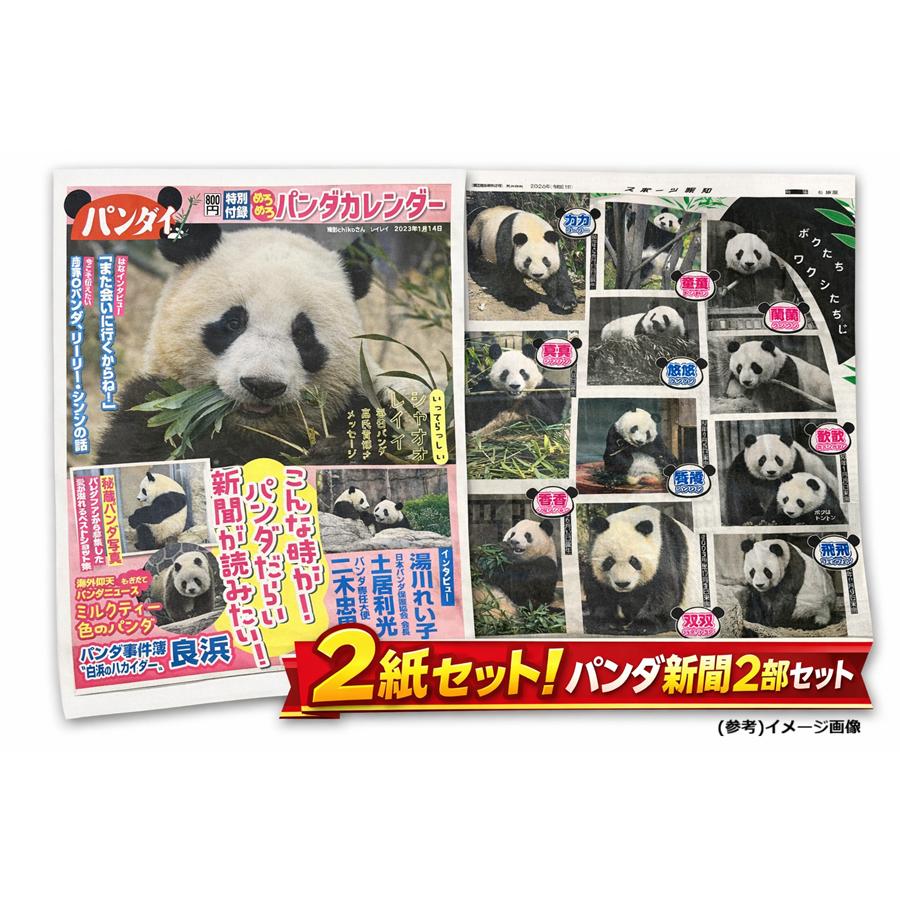 日刊パンダイ スポーツ報知 1/23セット シャオシャオ レイレイ パンダ