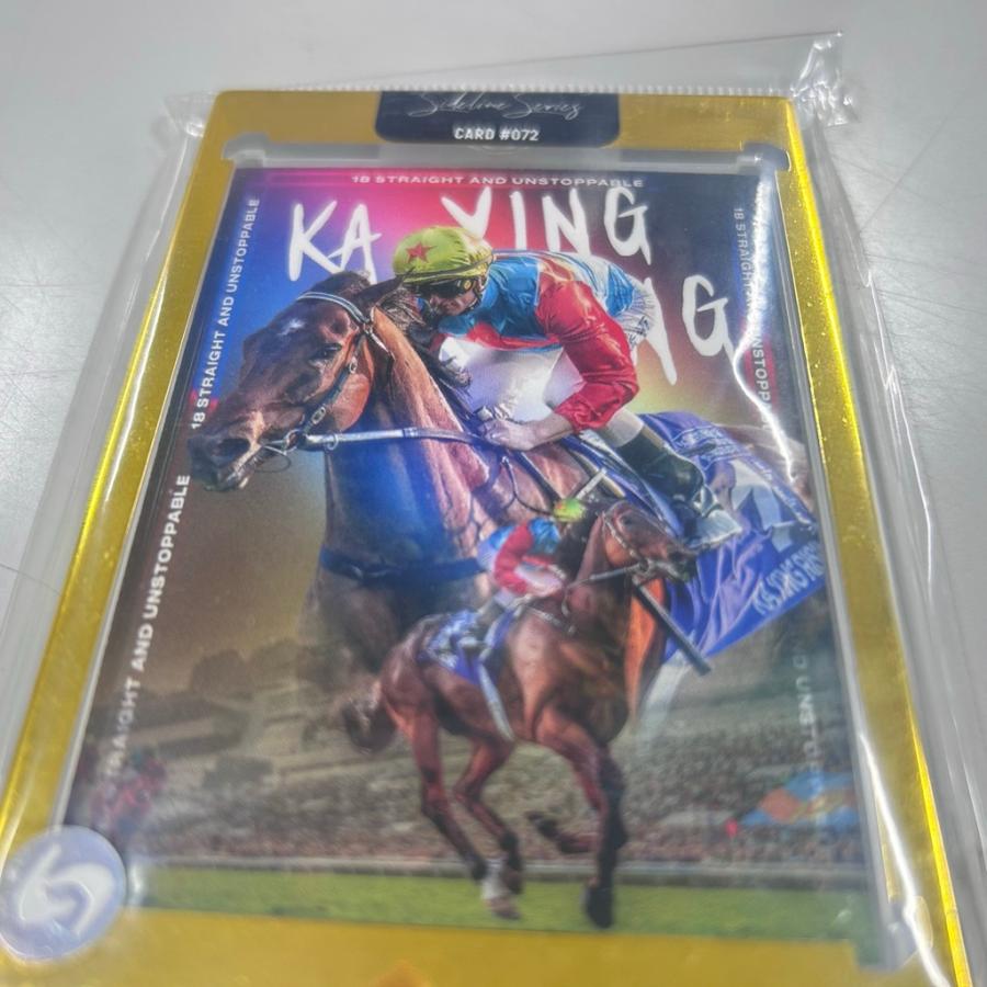 KAYING RISING カード カーインライジング 100/100 緑ケース Ka Ying Rising カーインライジング 海外競馬 コレクションカード 香港