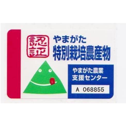 限定価格セール 山形県庄内産 特別栽培米認証 コシヒカリ 玄米 30ｋｇ 1個 令和２年産 K R 通販 Yahoo ショッピング 無料長期保証 Mediquicklab Com