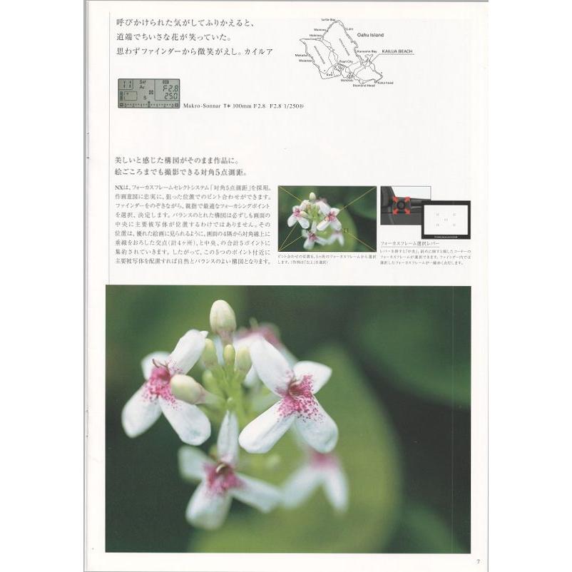 CONTAX（コンタックス） CONTAX NX の カタログ/2002.3(未使用美品