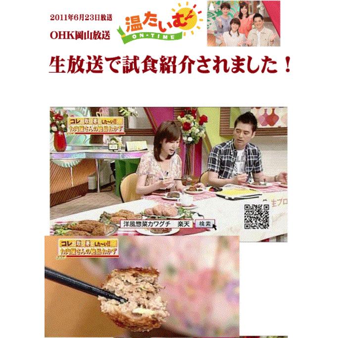 ギフト 肉 メンチカツ 4個 ザクザクきゃべつ入 | 肉 ギフト 可能 国産 冷凍 |  | 05