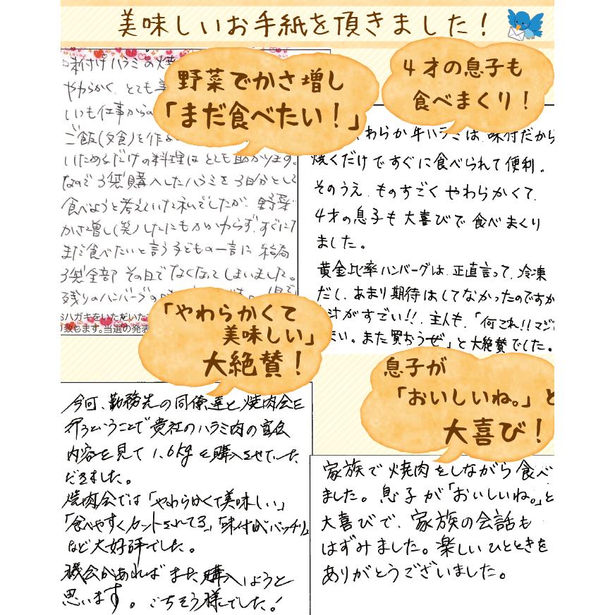 訳あり 焼肉 牛 ハラミ 味付 肉 約200g (豪州 NZ産) | わけあり 牛肉 バーベキュー BBQ ギフト |  | 03
