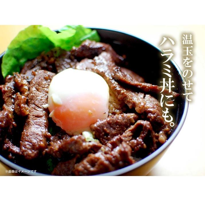 訳あり 焼肉 牛 ハラミ 味付 肉 約200g (豪州 NZ産) | わけあり 牛肉 バーベキュー BBQ ギフト |  | 08