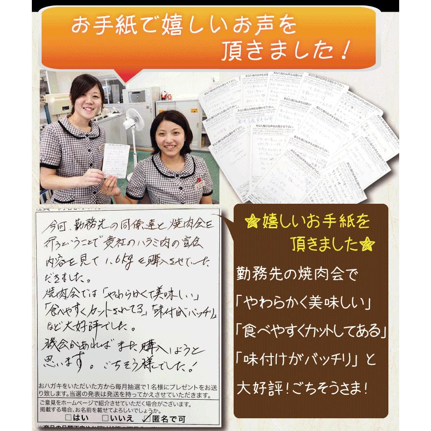 ギフト 肉 焼肉 福袋 1kg 3種盛 | 送料無料 | 肉 和牛 入り 焼肉セット 訳あり ハラミ 豚 カルビ｜kwgchi｜03