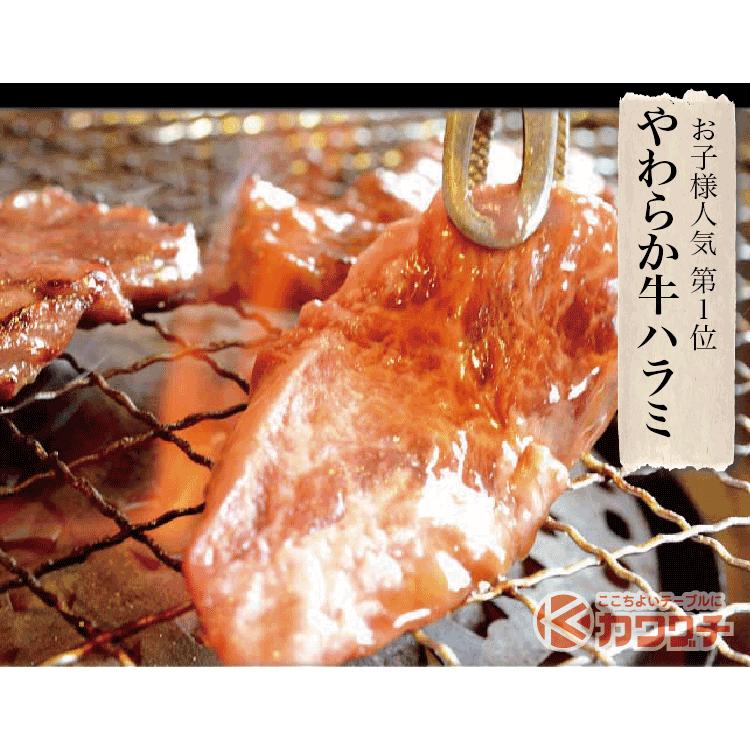 ギフト 肉 焼肉 福袋 1kg 3種盛 | 送料無料 | 肉 和牛 入り 焼肉セット 訳あり ハラミ 豚 カルビ |  | 06