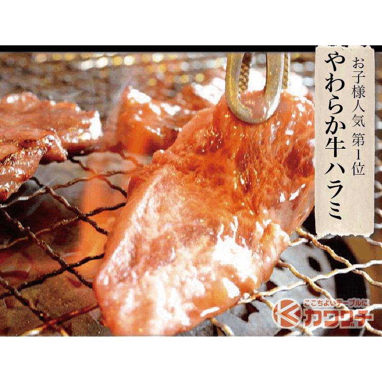 ギフト 肉 焼肉 福袋 1kg | 肉 3種盛 焼肉セット 国産牛 訳あり ハラミ 豚 カルビ バーべキュー |  | 10