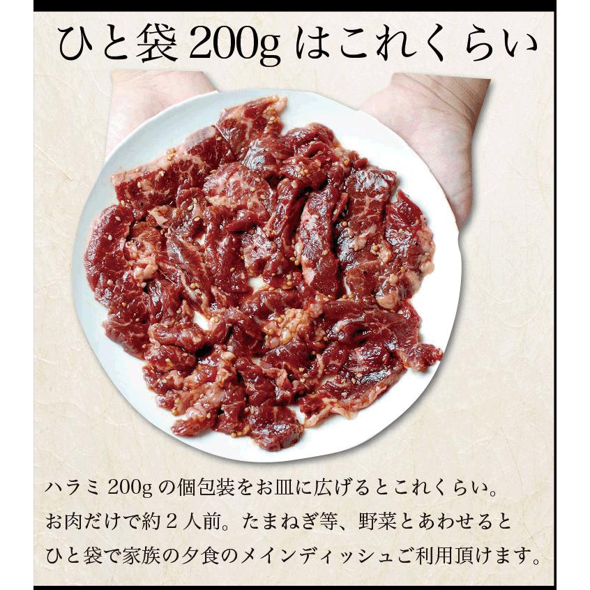 ギフト 肉 焼肉 福袋 1kg | 肉 3種盛 焼肉セット 国産牛 訳あり ハラミ 豚 カルビ バーべキュー |  | 12