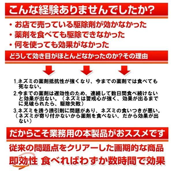 ネズミ駆除 毒餌 スーパーラット・バスター 4個セット 殺鼠剤_2